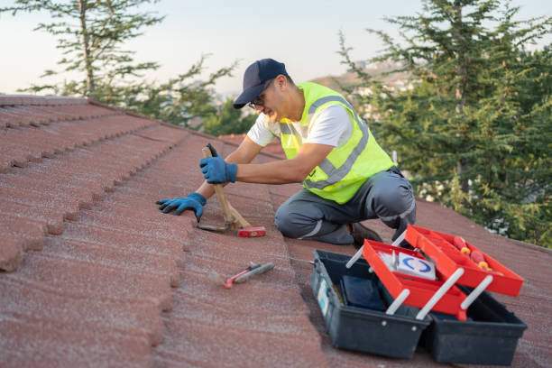 Best Roof Moss and Algae Removal  in Epworth, IA